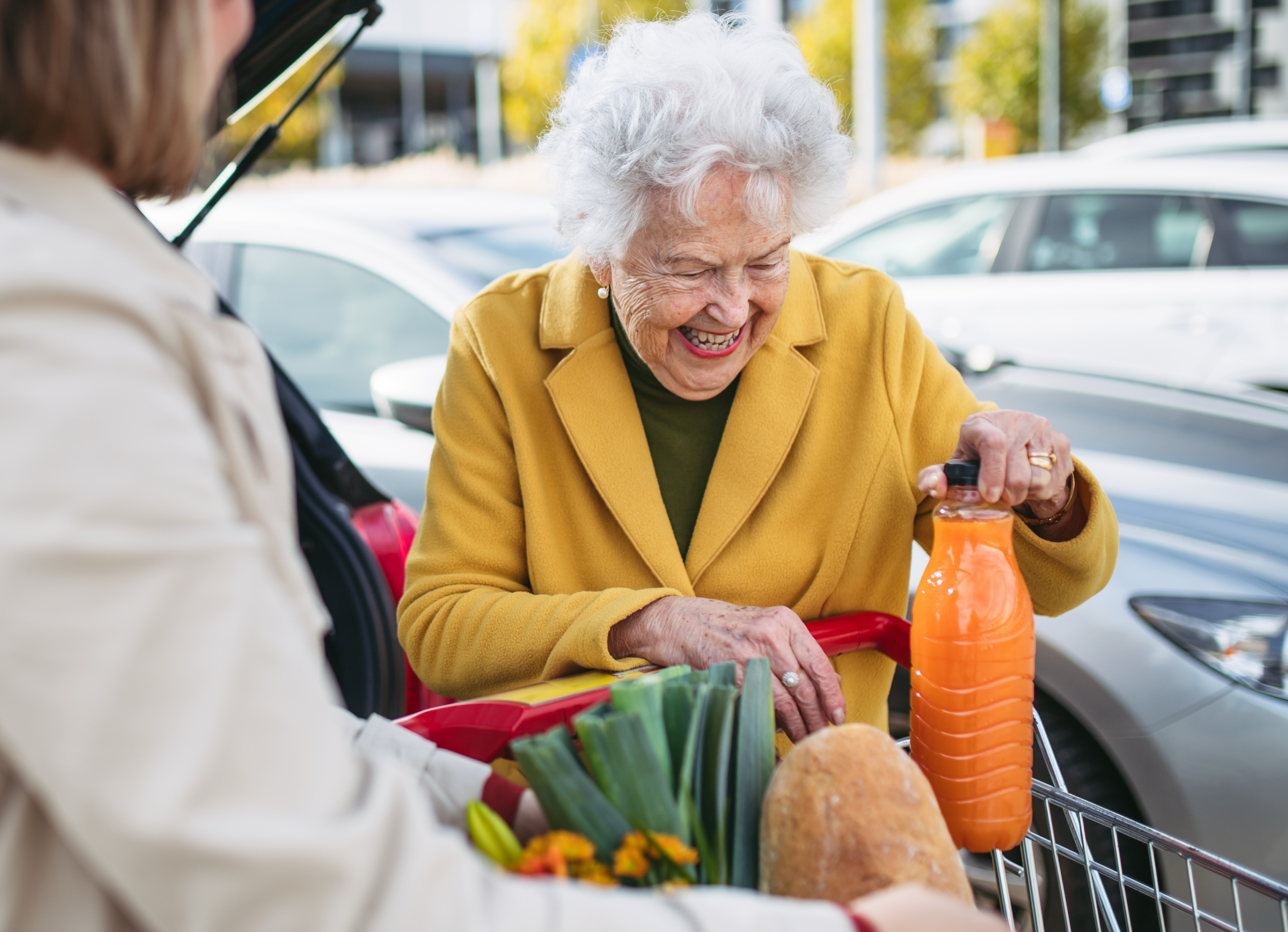 Alltagshilfe unterstützt eine Seniorin beim Einkaufen.